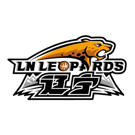 阿达纳德米尔体育